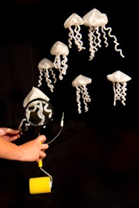 Kismet with Jellyfish