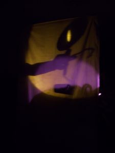 Kismet in shadow, part of a workshop piece at the festival Titiriteros Juglares, near Cordoba, Argentina. 